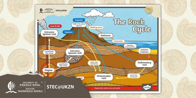 FREE! - The Rock Cycle Labelling Activity Sheet - Twinkl