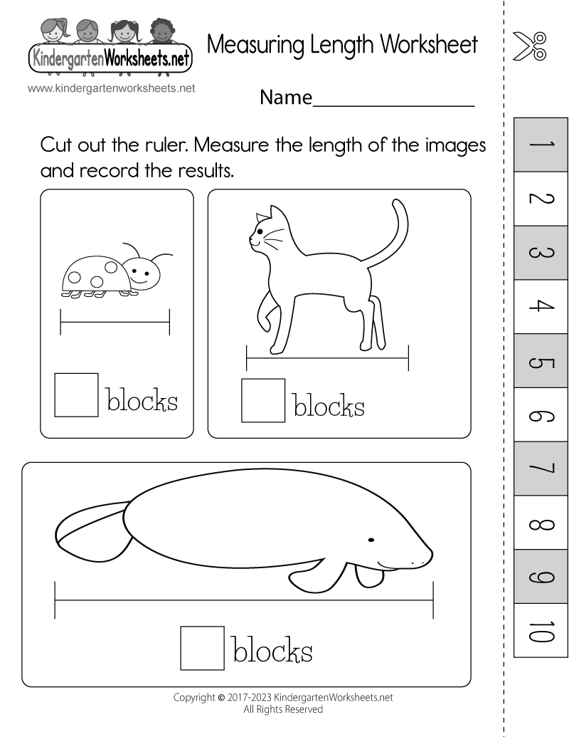 Measuring Length Worksheet - Free Printable, Digital, &  PDF