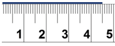 Reading a Ruler Worksheets