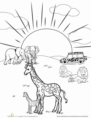 Safari | Worksheet 