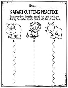 safari worksheet