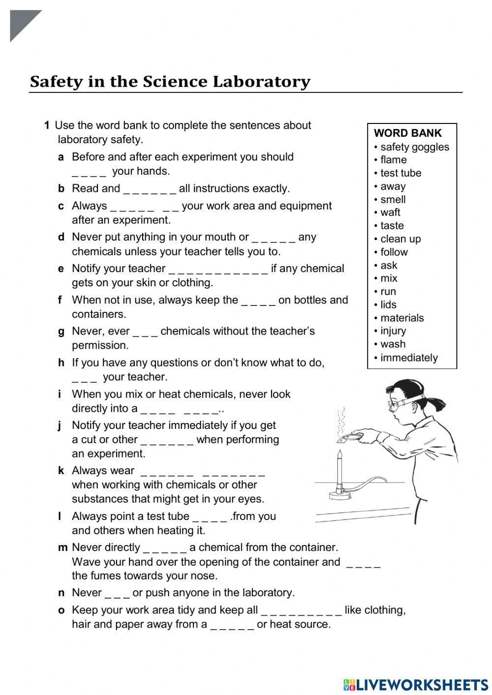 Safety in the Science Laboratory worksheet Live Worksheets