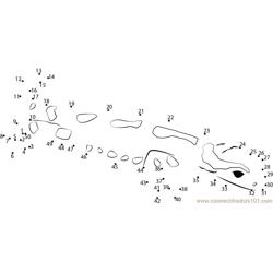 Salamander Connect the Dots Worksheets Printable for Kids