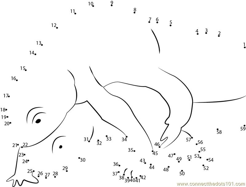 Salamander Slender Body dot to dot printable worksheet - Connect ...