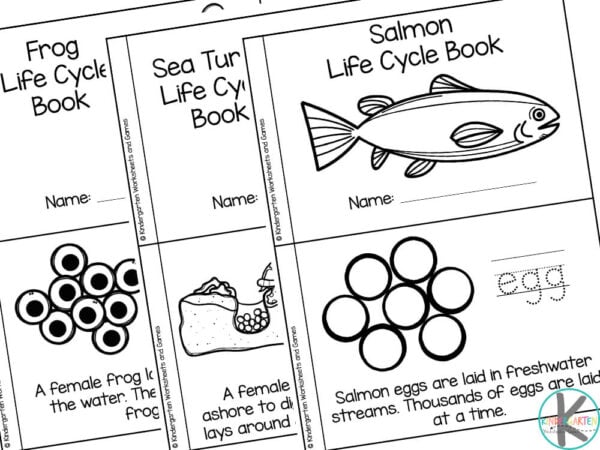??? FREE Water Animals for Kids Life Cycle Printable Books