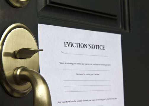 sample eviction notice jamaica