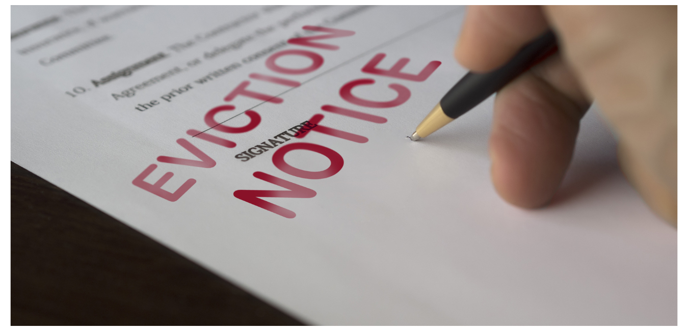 sample eviction notice south africa