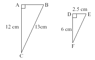 Unit 19 Section 2 : Similar shapes