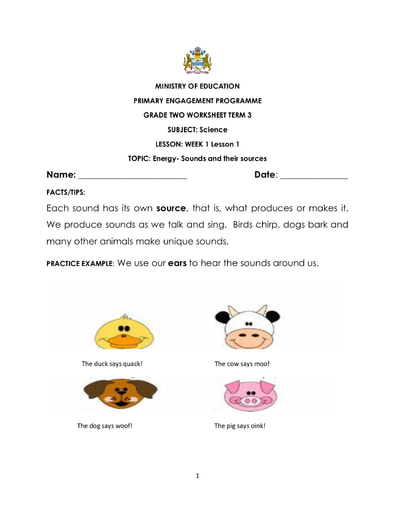 science 2nd grade worksheet