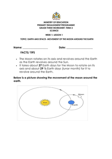 Grade 3 - Worksheets - Science
