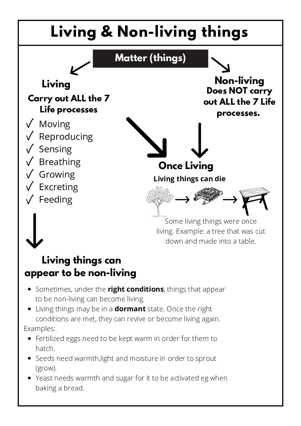 Natural Sciences &  Technology - Grade 4: Worksheets • Teacha!