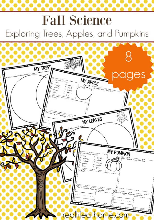 Fall Science Activities: Free Fall Science Worksheets for Kids