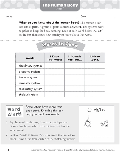 Landforms: Social Studies Vocabulary | Printable Skills Sheets