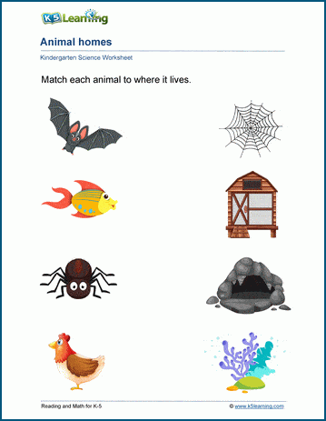 Plant or Animal Worksheet for Kindergarten - Exercise 1 by PixelThemes