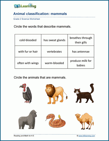 Animal Classification Worksheets | Worsheets library