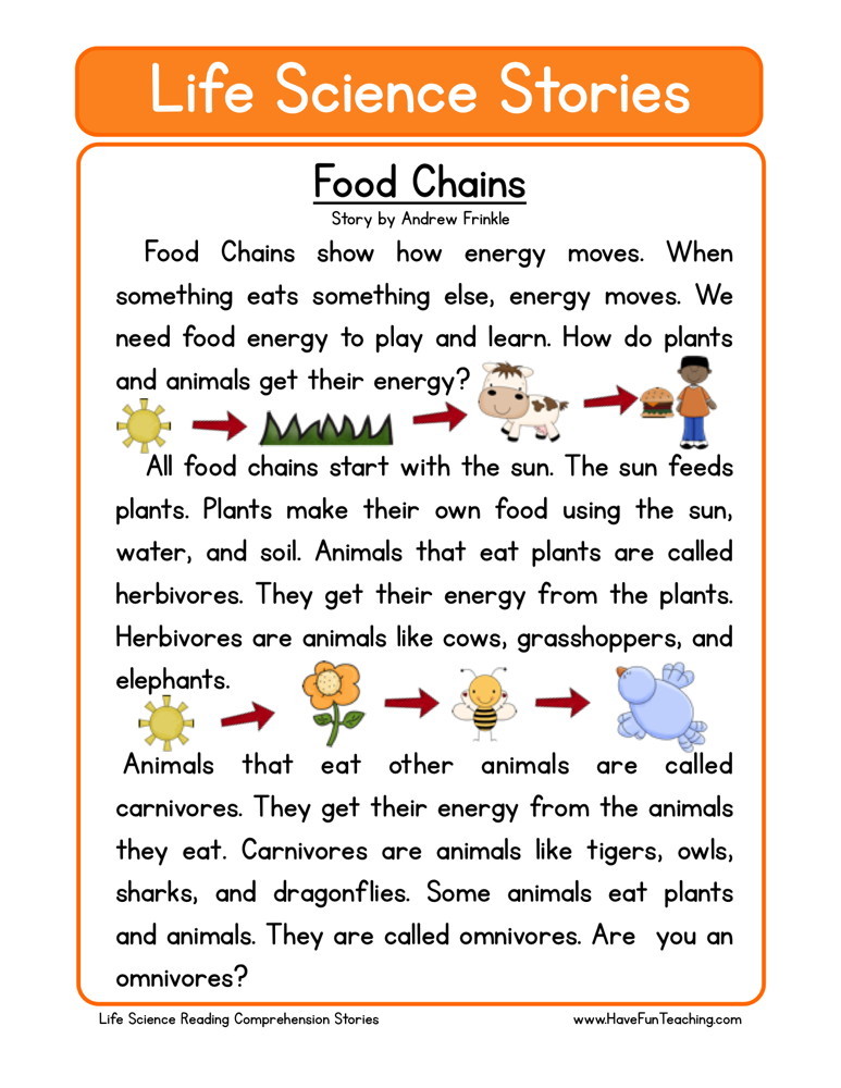 science comprehension worksheet