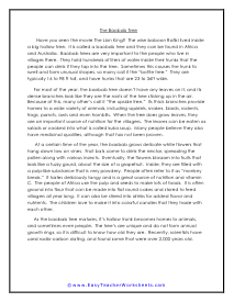 Science Reading Comprehension Worksheets