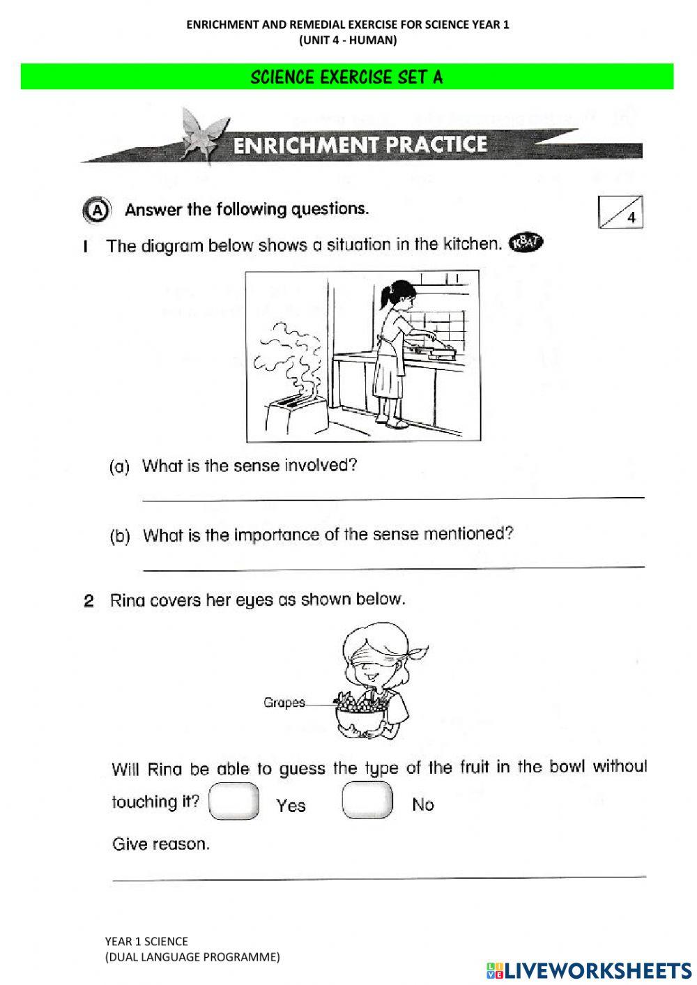 science enrichment worksheet