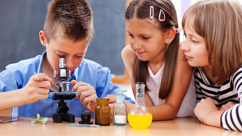science enrichment worksheet