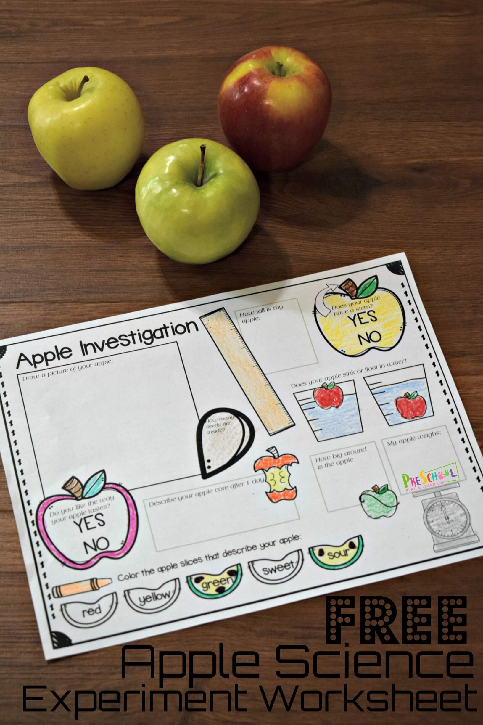 ? FREE Printable Apple Science Experiment Worksheet