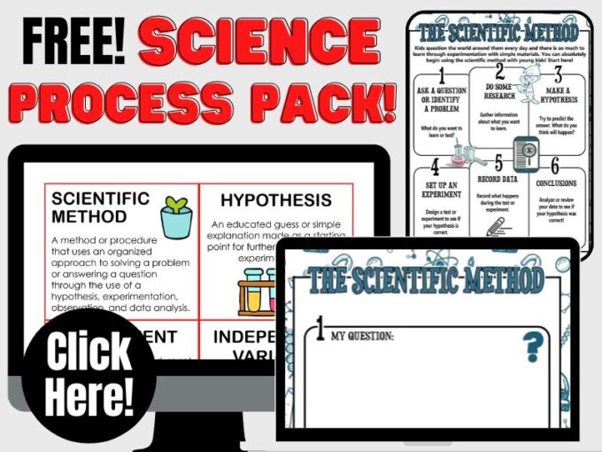 Science Worksheets For Preschool To Elementary Little Bins for
