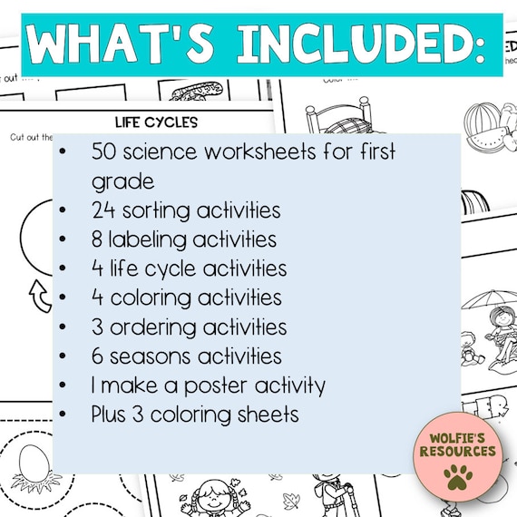 First-Grade Science and Social Studies Worksheets | TLSBooks.com