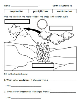 200+ Science Worksheets for Second Grade by TechieSandy worksheets library
