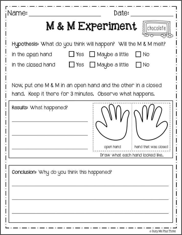12 4Th Grade Science Forms Of Energy Worksheet | 2nd grade ...