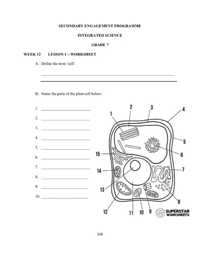 Grade 7 - Worksheets - Integrated Science