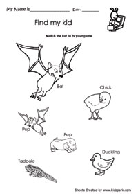 science worksheet | Science worksheets, Kindergarten worksheets ...