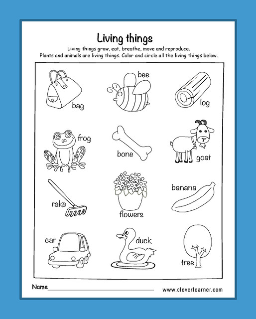 Living things preschool worksheets | Free activity sheets on… | Flickr
