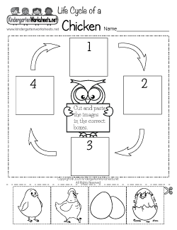 science for preschoolers worksheet