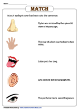 Science Worksheets for Kids