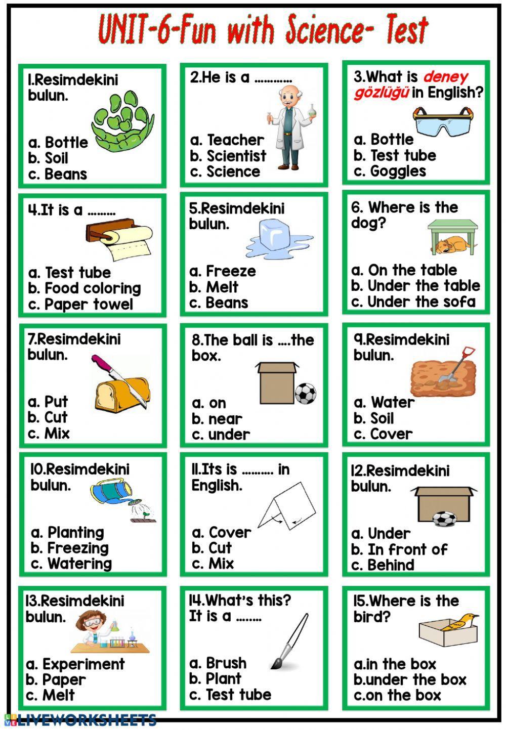 Free science fun worksheet, Download Free science fun worksheet png