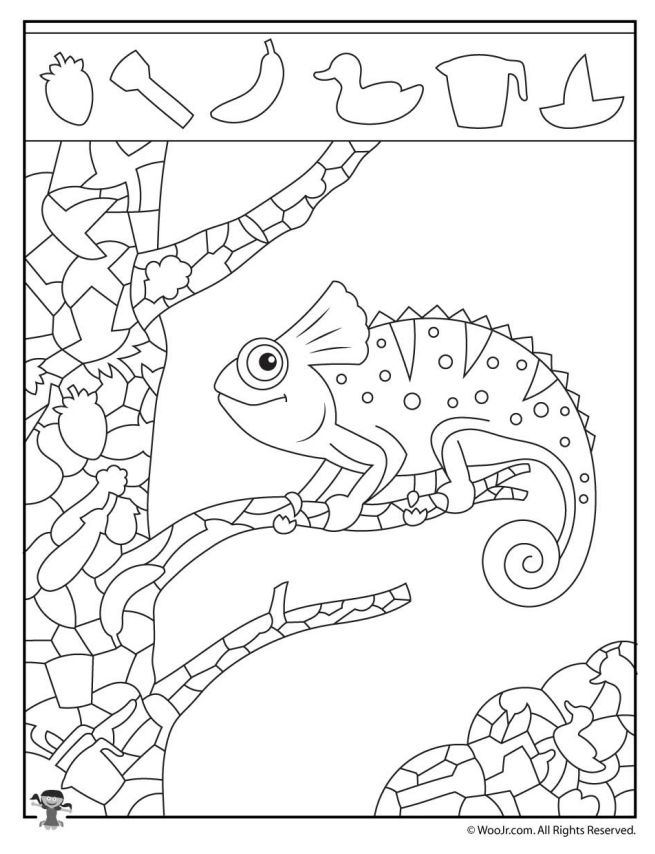 science hidden pictures printable
