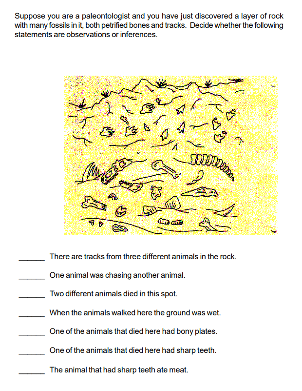 Reviewing Observations and Inferences with Dinosaurs | Math = Love