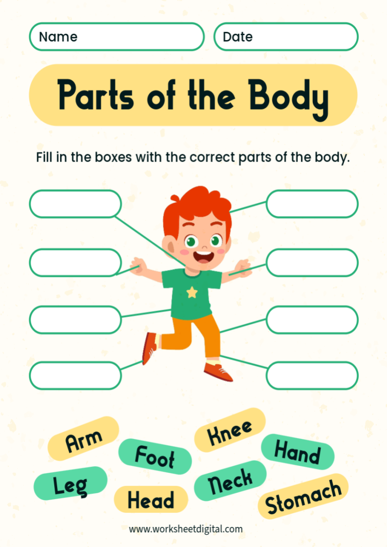 Kindergarten Science - Worksheet Digital