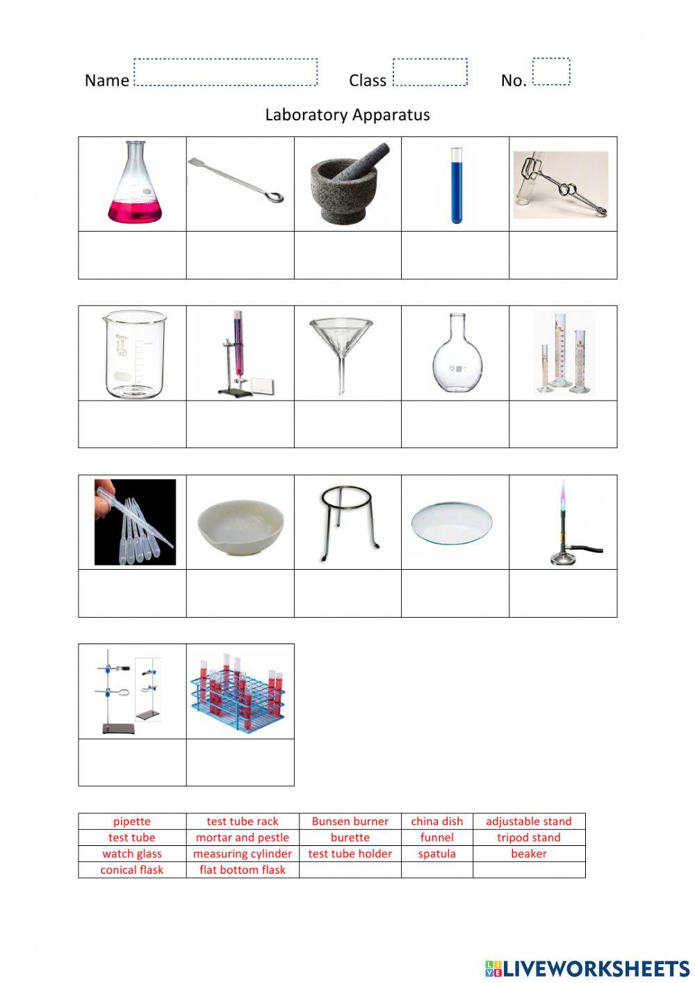 Science Lab Tools Worksheet at viikeithblog Blog