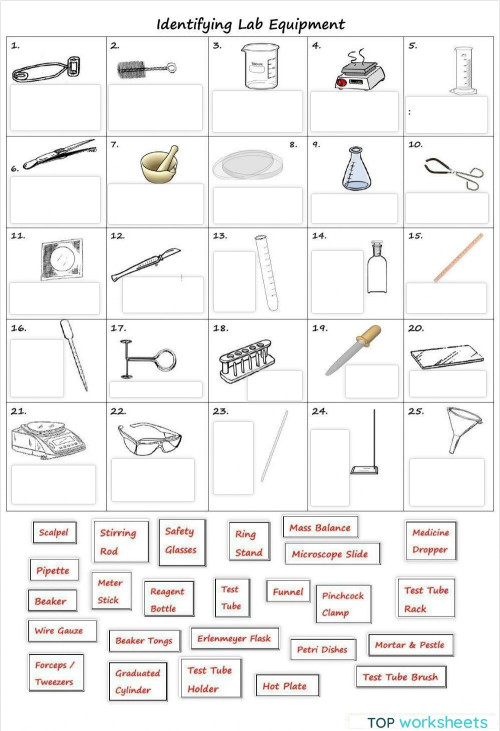 Identifying Lab Equipment. Interactive worksheet | TopWorksheets ...
