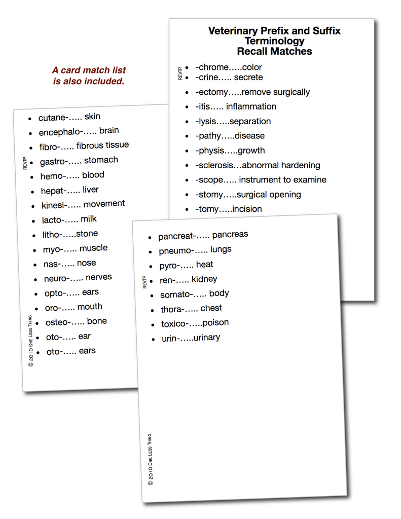 science prefixes and suffixes worksheet
