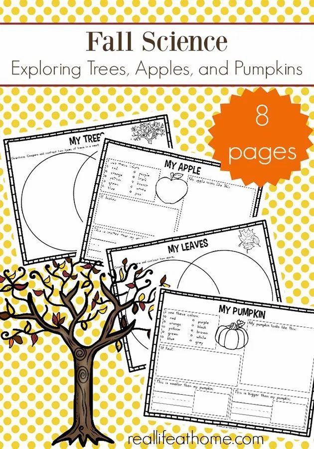 Fall Science Activities: Free Fall Science Worksheets for Kids