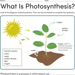 Science Worksheets &  Printables 