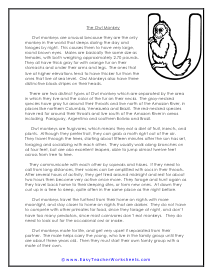 Science Reading Comprehension Worksheets
