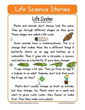 Reading Comprehension Worksheet - Life Cycles | Science reading ...