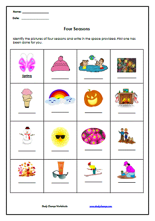 Science Archives - Study Champs Teacher Worksheets