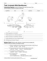 science test worksheet for 6th graders