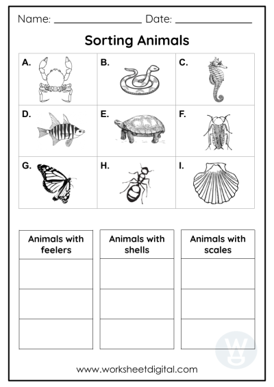 Grade 2 Science - Worksheet Digital