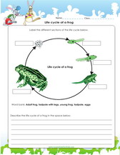 Grade 4 science worksheets