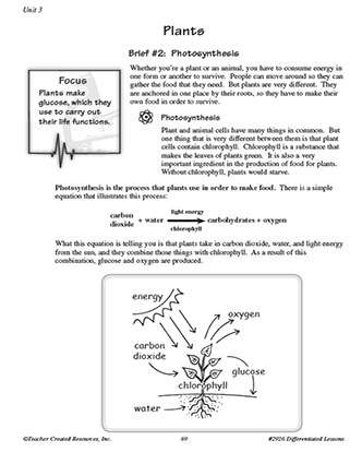 Plants Vocabulary Worksheet for 6th Grade Science - TeacherVision
