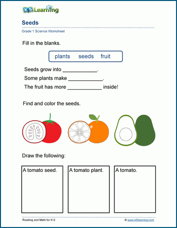 Grade 1 Science Worksheets | Worsheets library